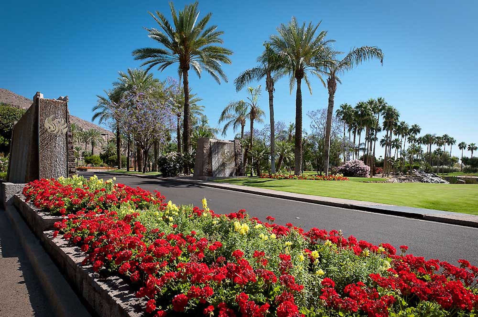 The Phoenician Entry Flowers